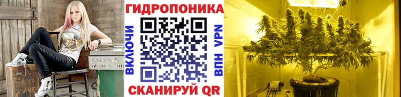Где купить наркотики Черемхово МАРИХУАНА  COCAIN  Alpha PVP  Амфетамин  ГАШ  Меф мяу мяу 
