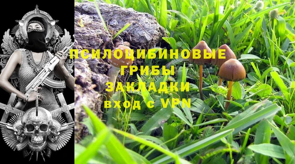 бутират Медногорск