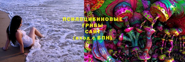 трава Медвежьегорск