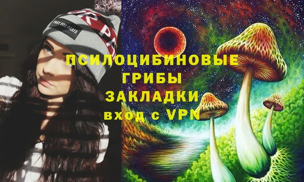 трава Медвежьегорск