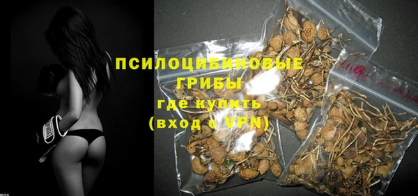 трава Медвежьегорск