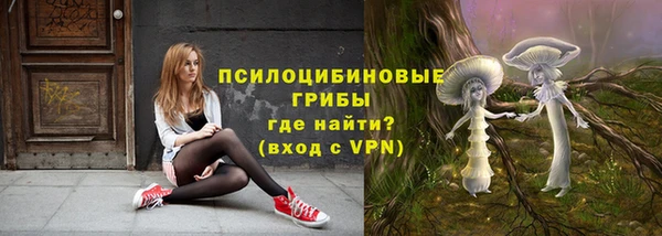 трава Медвежьегорск