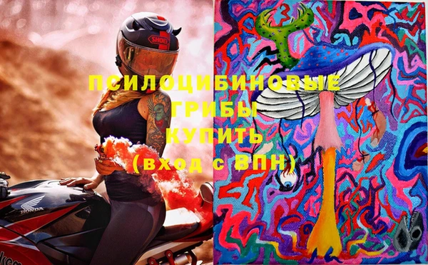 трава Медвежьегорск